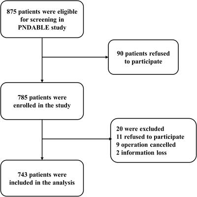 The Relationship Between Suboptimal Social Networks and Postoperative Delirium: The PNDABLE Study